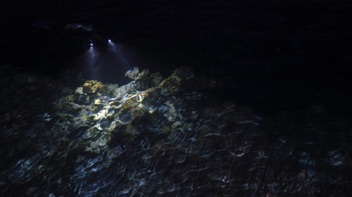 Night divers from the Bar